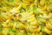 大香蕉国产免费现现视频
